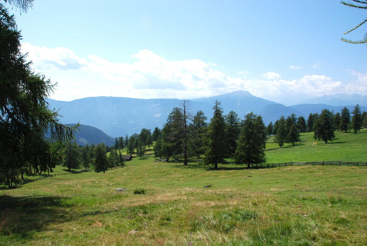 Trentino 1.Salten