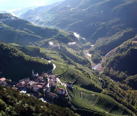 Trentino 4.Cembra