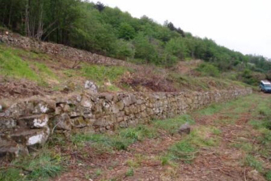 The restoration of the terraced Landscape of Lamole