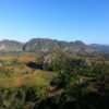 vinales