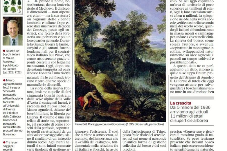 Natura e uomini creano i boschi (che in Italia sono raddoppiati) – Recensione su Corriere della sera